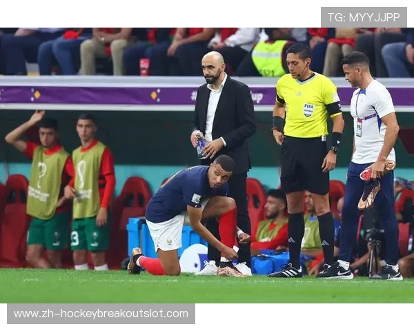 裁判执法公正性受肯定，比赛流畅度提升